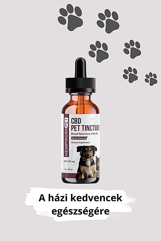 hempworx-kisallat-cbd-olaj HempWorx kisállat CBD tinktúra - általános